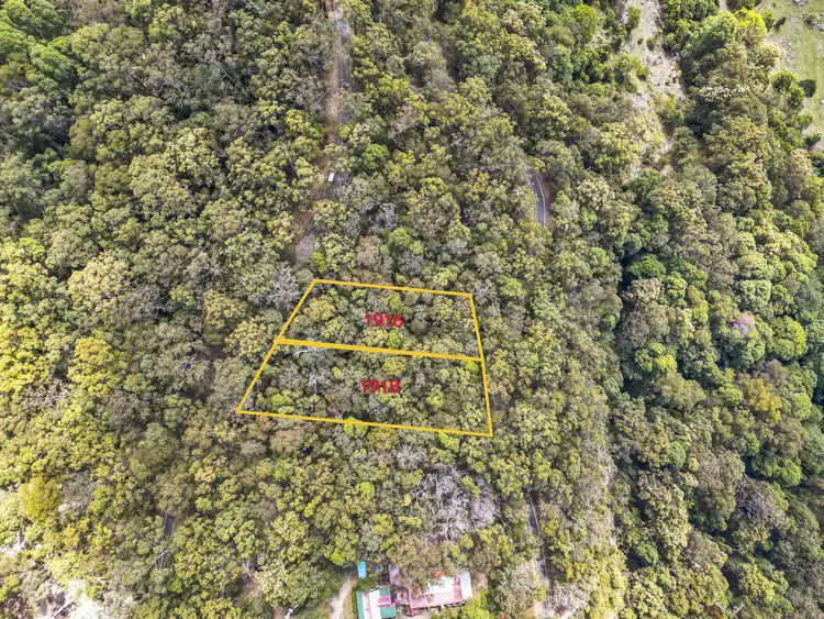 Fifth view of Homely land listing, 1916 Springbrook Road, Springbrook QLD 4213