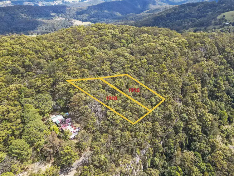 Sixth view of Homely land listing, 1916 Springbrook Road, Springbrook QLD 4213