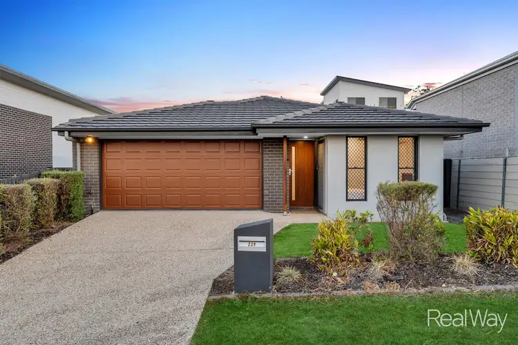 239 Dublin Avenue, Spring Mountain QLD 4300
