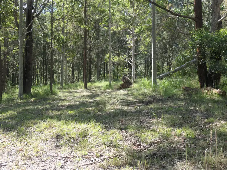 LOT 5, 476 Long Gully Road, Drake NSW 2469