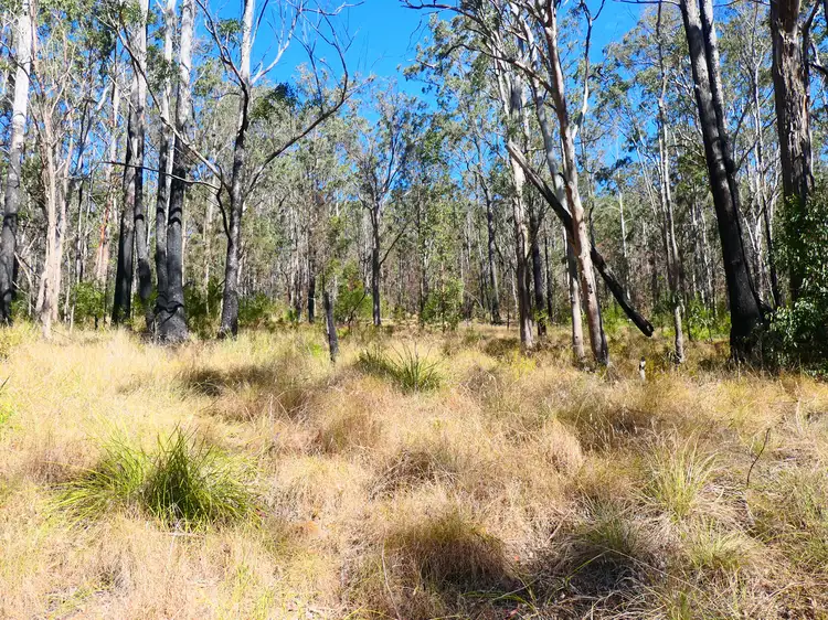 Third view of Homely rural property listing, LOT 5, 476 Long Gully Road, Drake NSW 2469