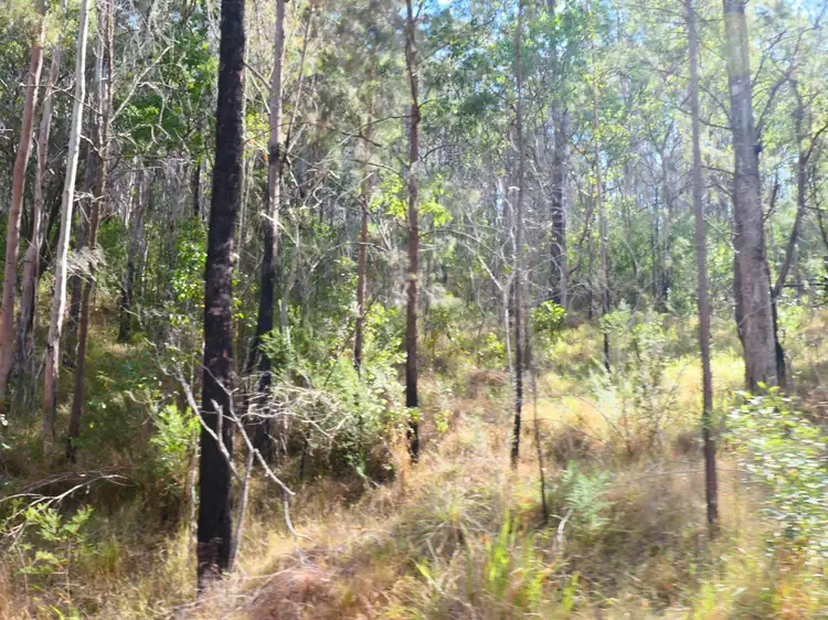 Fifth view of Homely rural property listing, LOT 5, 476 Long Gully Road, Drake NSW 2469