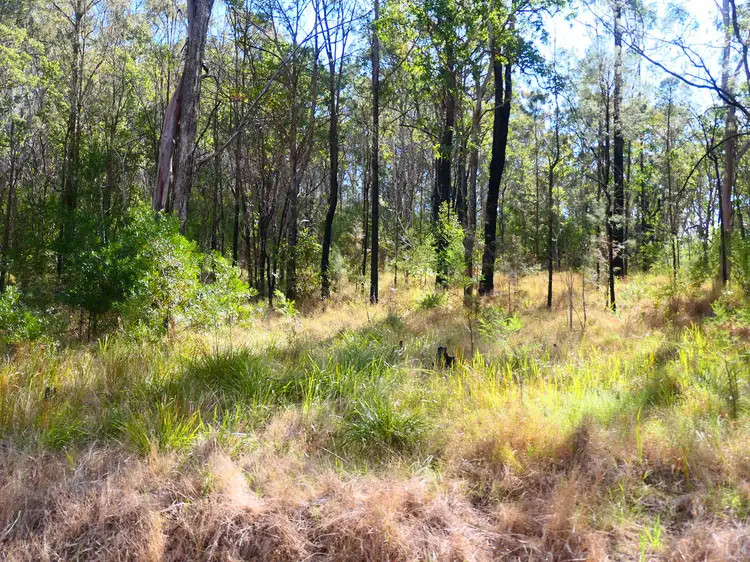 Sixth view of Homely rural property listing, LOT 5, 476 Long Gully Road, Drake NSW 2469