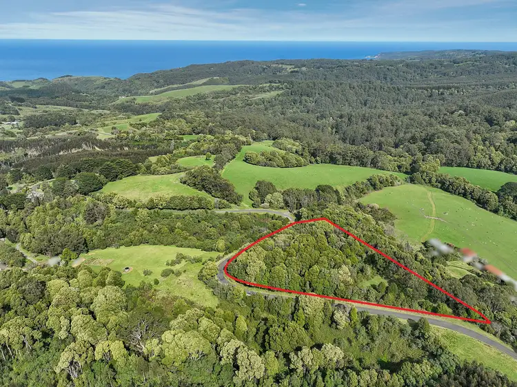 Main view of Homely rural property listing, 170 Blue Johanna Road, Johanna VIC 3238