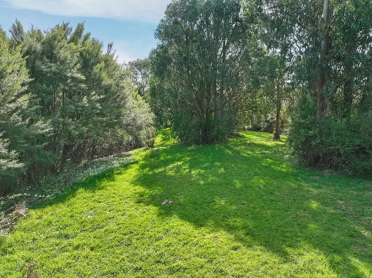 Third view of Homely rural property listing, 170 Blue Johanna Road, Johanna VIC 3238
