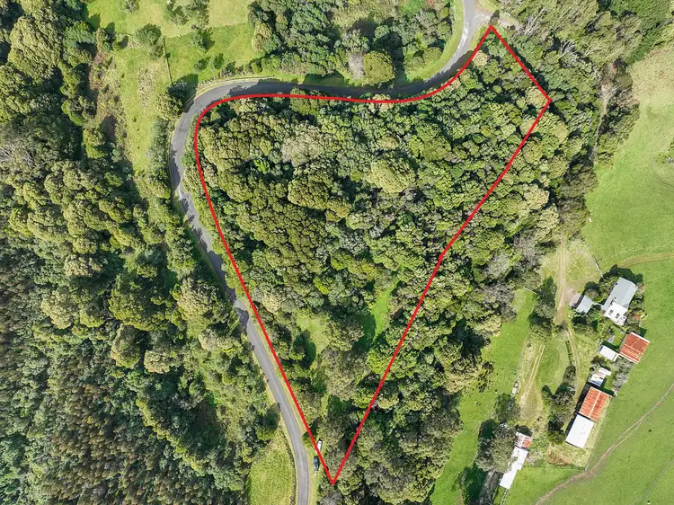 Fifth view of Homely rural property listing, 170 Blue Johanna Road, Johanna VIC 3238