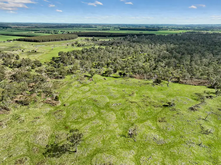 Third view of Homely rural property listing, 190 Scoullers Road, Stonyford VIC 3260