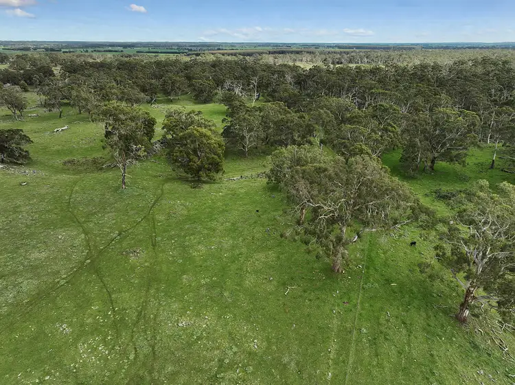 Fourth view of Homely rural property listing, 190 Scoullers Road, Stonyford VIC 3260