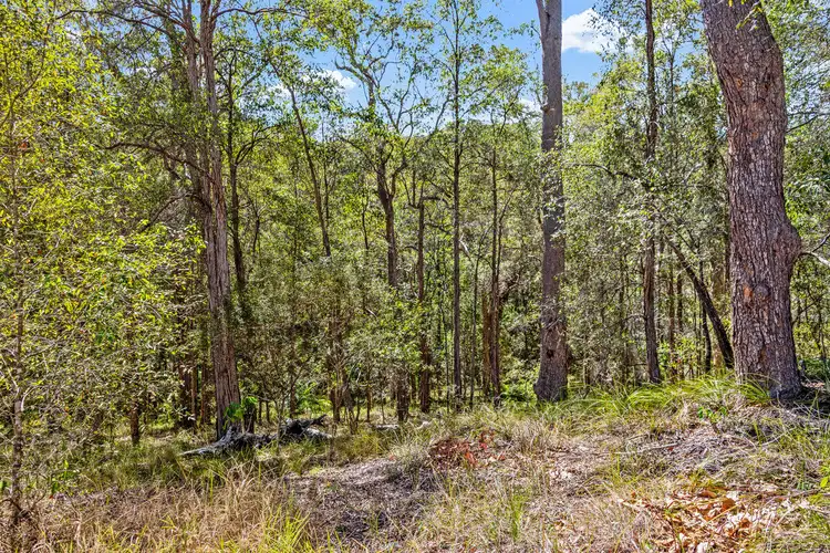 Sixth view of Homely land listing, 622 Yandina Bli Bli Road, Maroochy River QLD 4561