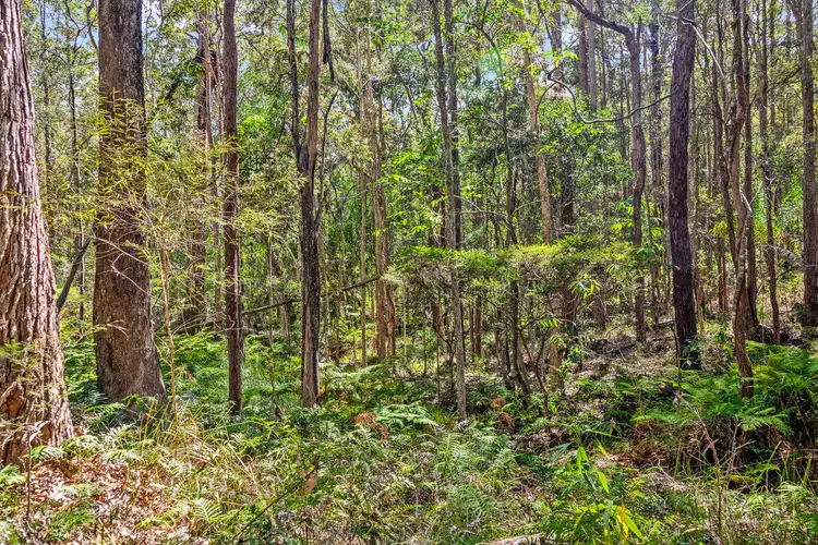 Seventh view of Homely land listing, 622 Yandina Bli Bli Road, Maroochy River QLD 4561