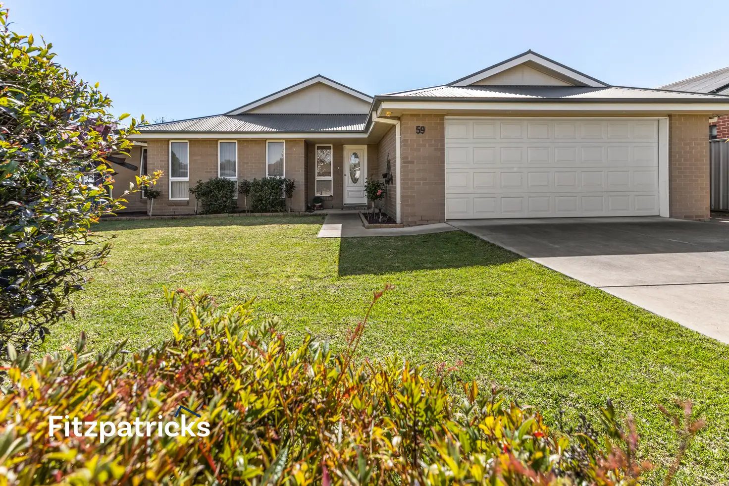 Main view of Homely house listing, 59 Jack Avenue, Mount Austin NSW 2650