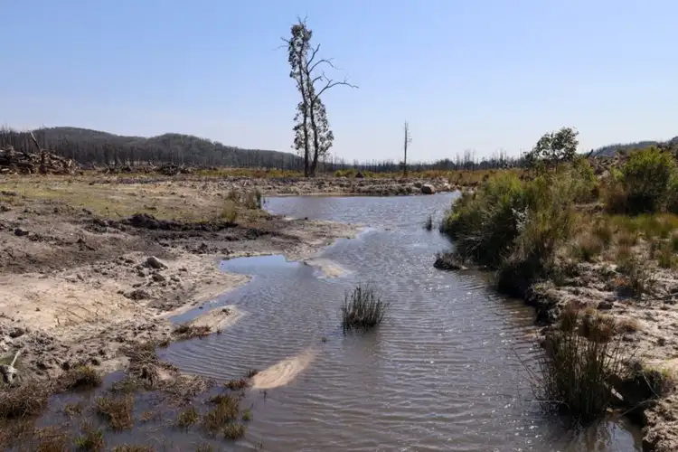 Fifth view of Homely rural property listing, 421 Rose Valley Road, Wog Wog NSW 2622