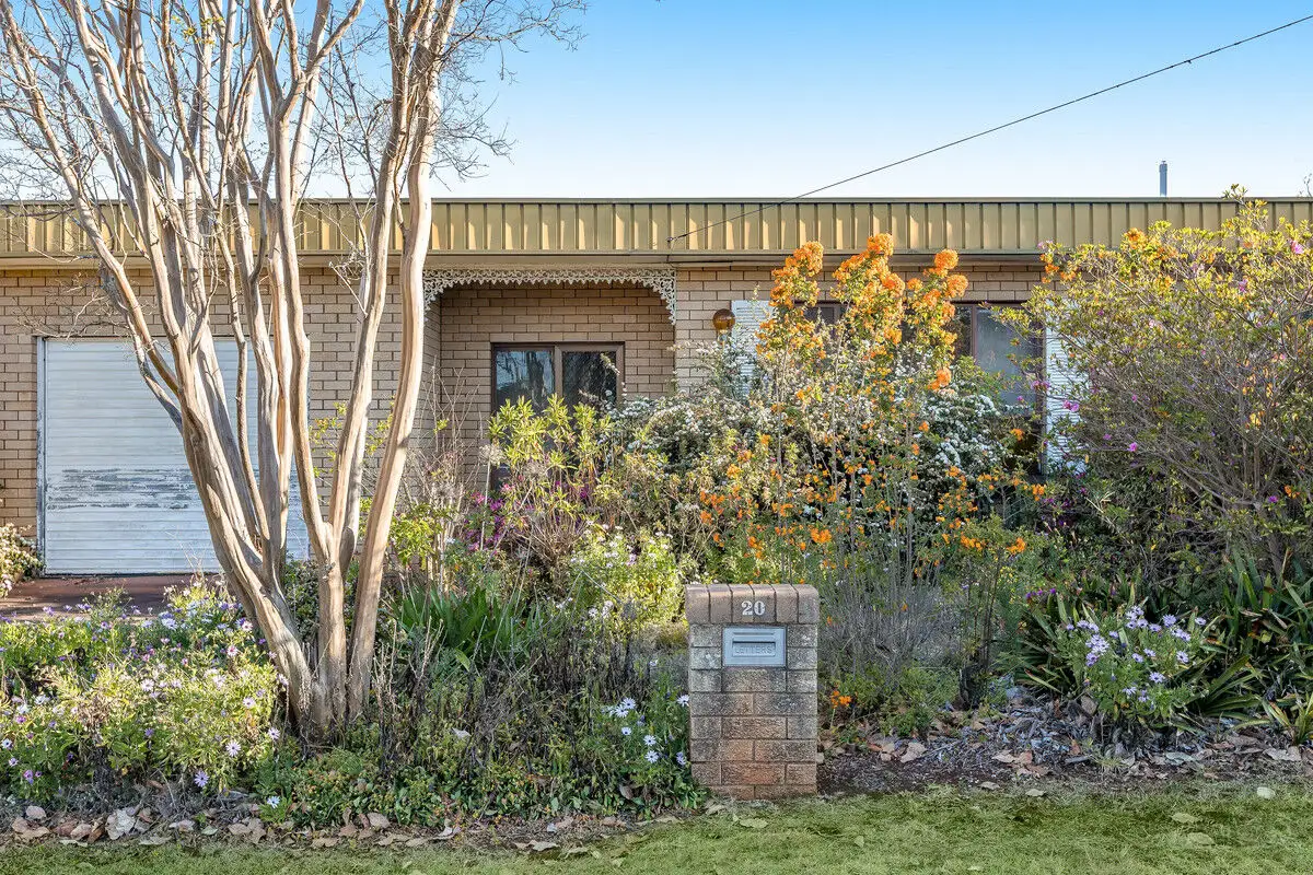 Main view of Homely house listing, 20 Knockator Crescent, Centenary Heights QLD 4350