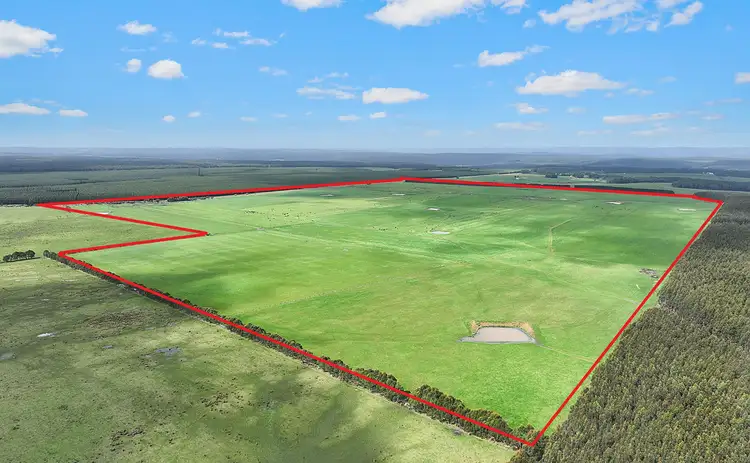 130, 200 & 240 Tin Dish Road, Irrewillipe VIC 3249