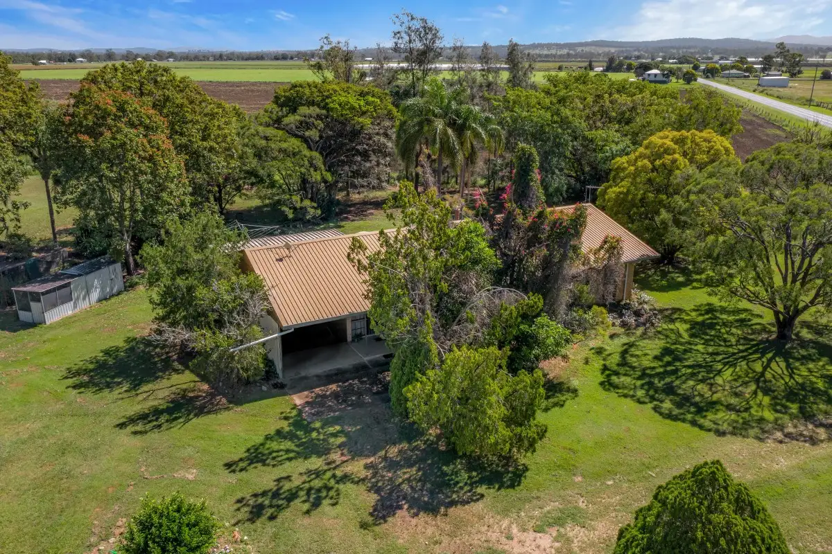 Main view of Homely rural property listing, 181 Patrick Estate Road, Patrick Estate QLD 4311