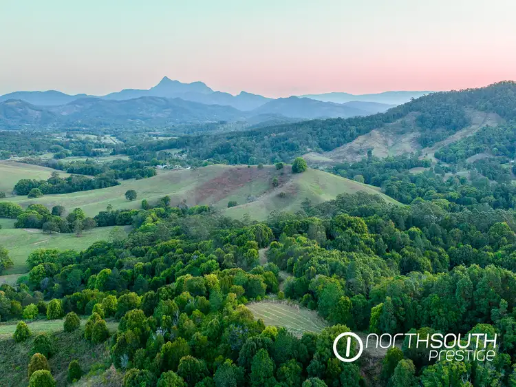 Sixth view of Homely rural property listing, 653-681 Nobbys Creek Road, Nobbys Creek NSW 2484
