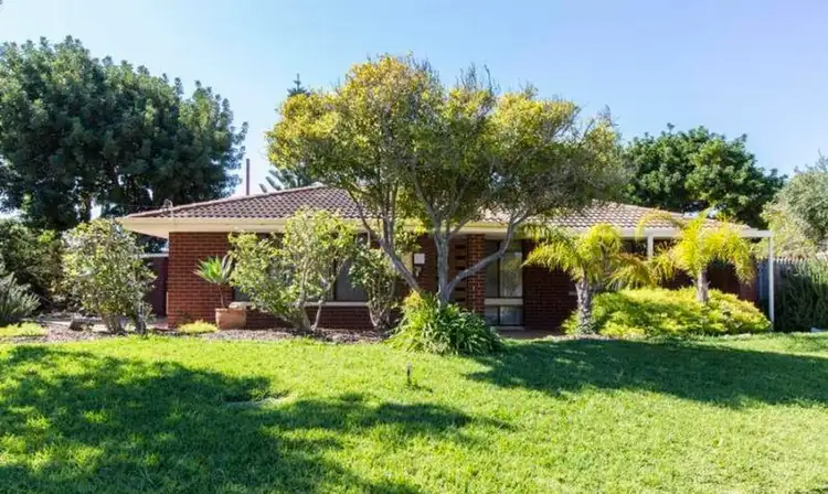 Main view of Homely house listing, 11 Mildura Road, Craigie WA 6025
