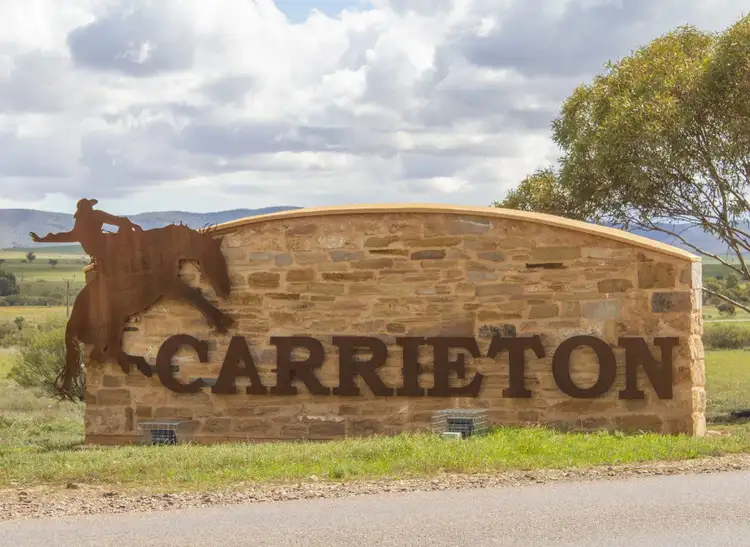 LOT 223 and 226 Fourth Street, Carrieton SA 5432