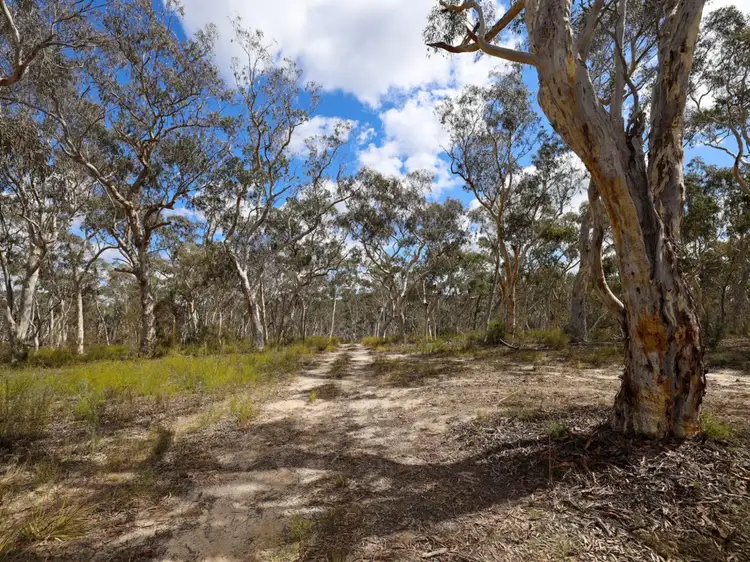 Fifth view of Homely rural property listing, 417 Williams Drive, Lower Boro NSW 2580