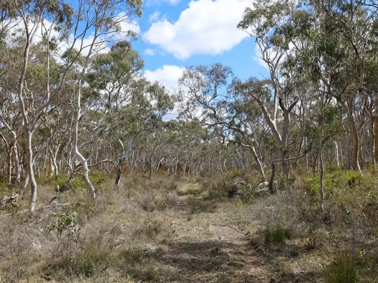 Seventh view of Homely rural property listing, 417 Williams Drive, Lower Boro NSW 2580