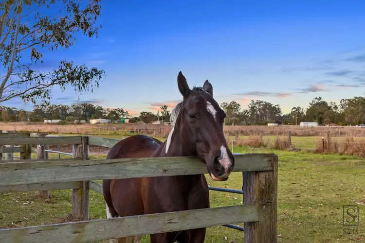 Second view of Homely house listing, 38 Fig Court, Cedar Grove QLD 4285