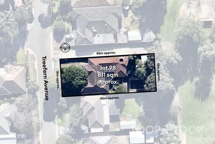 Second view of Homely house listing, 19 Treefern Avenue, Rostrevor SA 5073