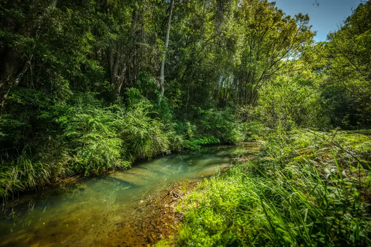 Third view of Homely house listing, 259 Kalang Road, Bellingen NSW 2454