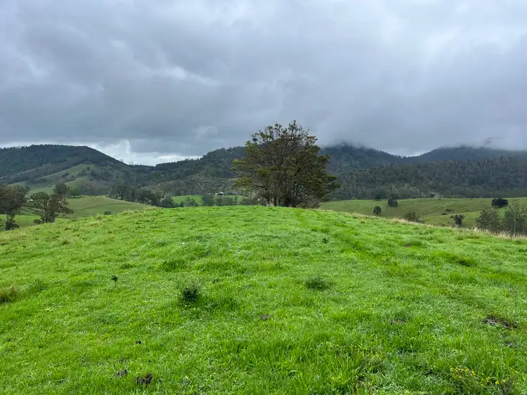 Main view of Homely rural property listing, Leachs Road, Strathcedar NSW 2429
