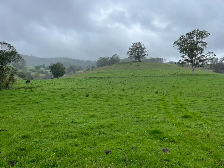 Fifth view of Homely rural property listing, Leachs Road, Strathcedar NSW 2429