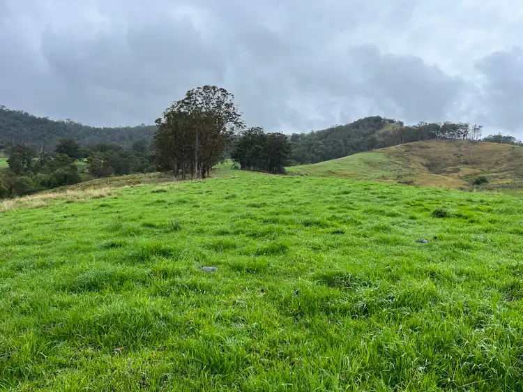 Sixth view of Homely rural property listing, Leachs Road, Strathcedar NSW 2429