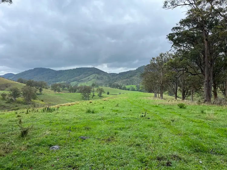 Seventh view of Homely rural property listing, Leachs Road, Strathcedar NSW 2429