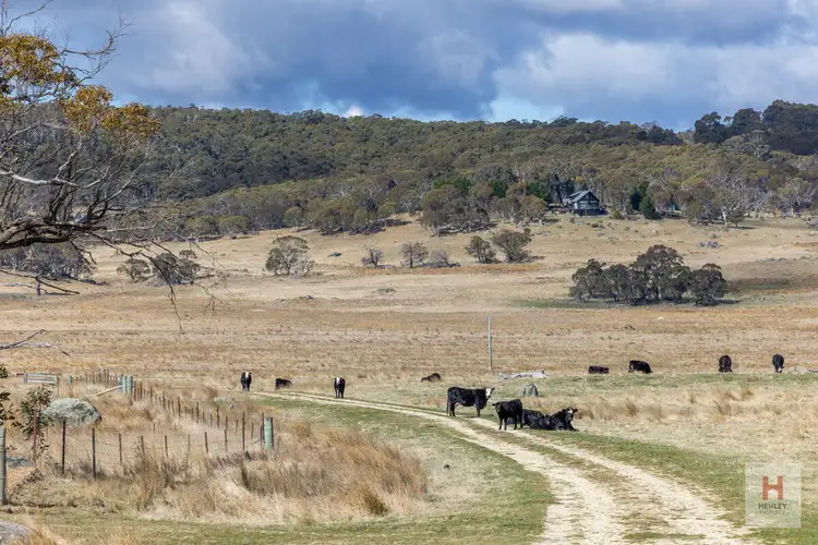 Fourth view of Homely rural property listing, 83 Marsh Lane, Jindabyne NSW 2627