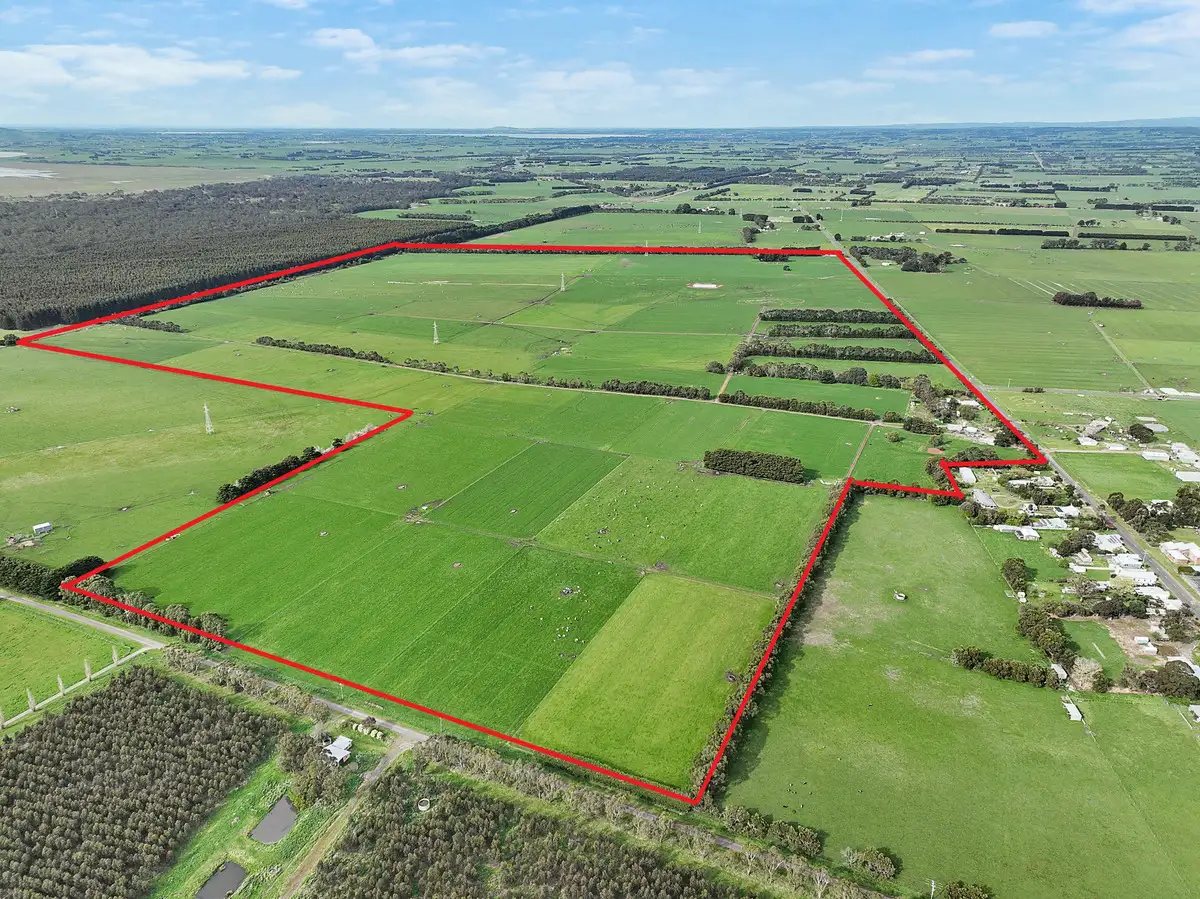 Main view of Homely rural property listing, 570 Swan Marsh Road, Swan Marsh VIC 3249