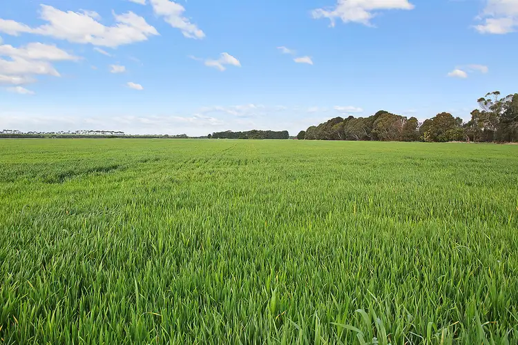 Fourth view of Homely rural property listing, 185 Conns Lane, Birregurra VIC 3242