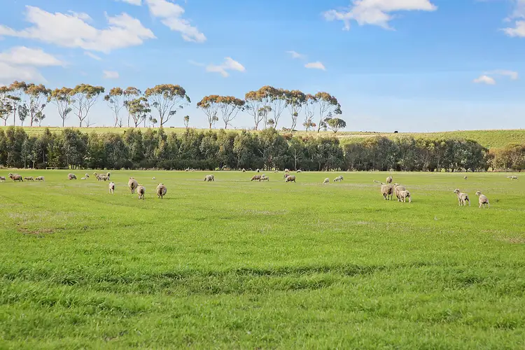 Fifth view of Homely rural property listing, 185 Conns Lane, Birregurra VIC 3242