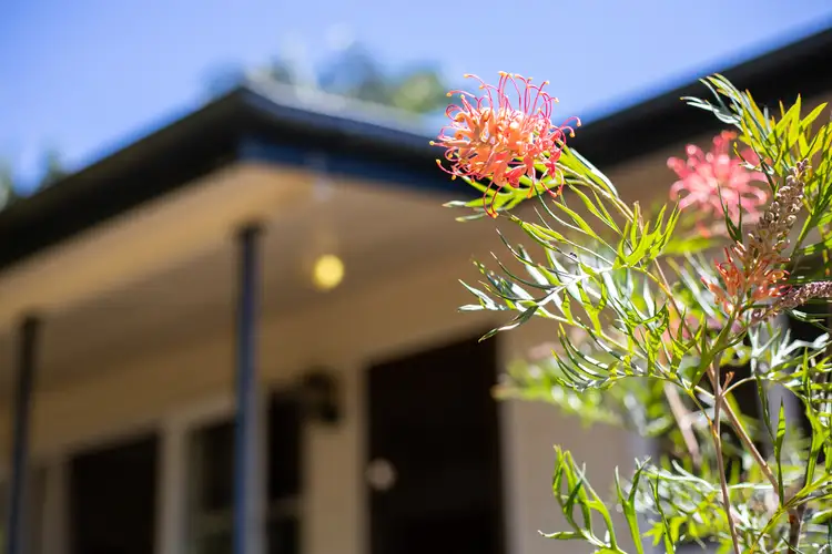 Fifth view of Homely house listing, 4 Hill Street, Palmwoods QLD 4555