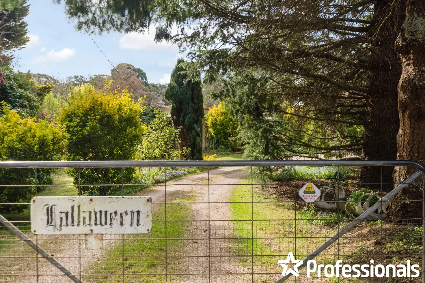 Main view of Homely rural property listing, 3478 Great Western Highway, Yetholme NSW 2795