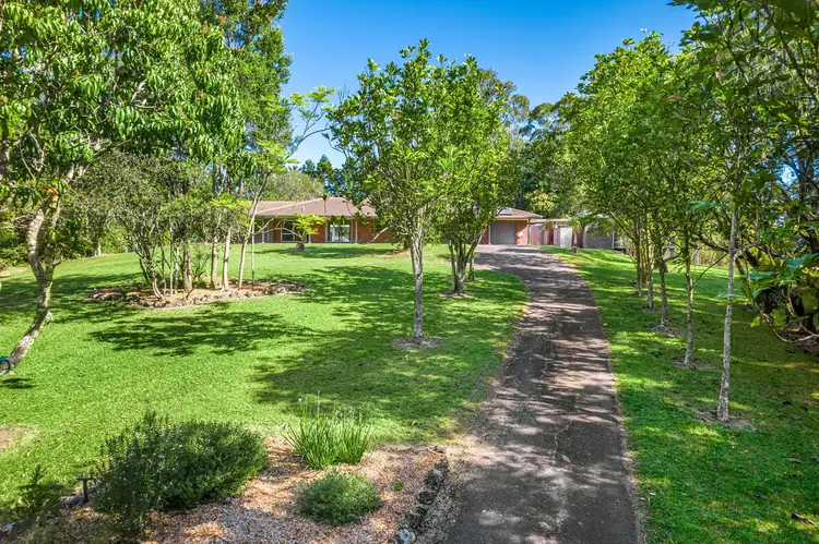 Third view of Homely house listing, 62 Forest Road, Uralba NSW 2477