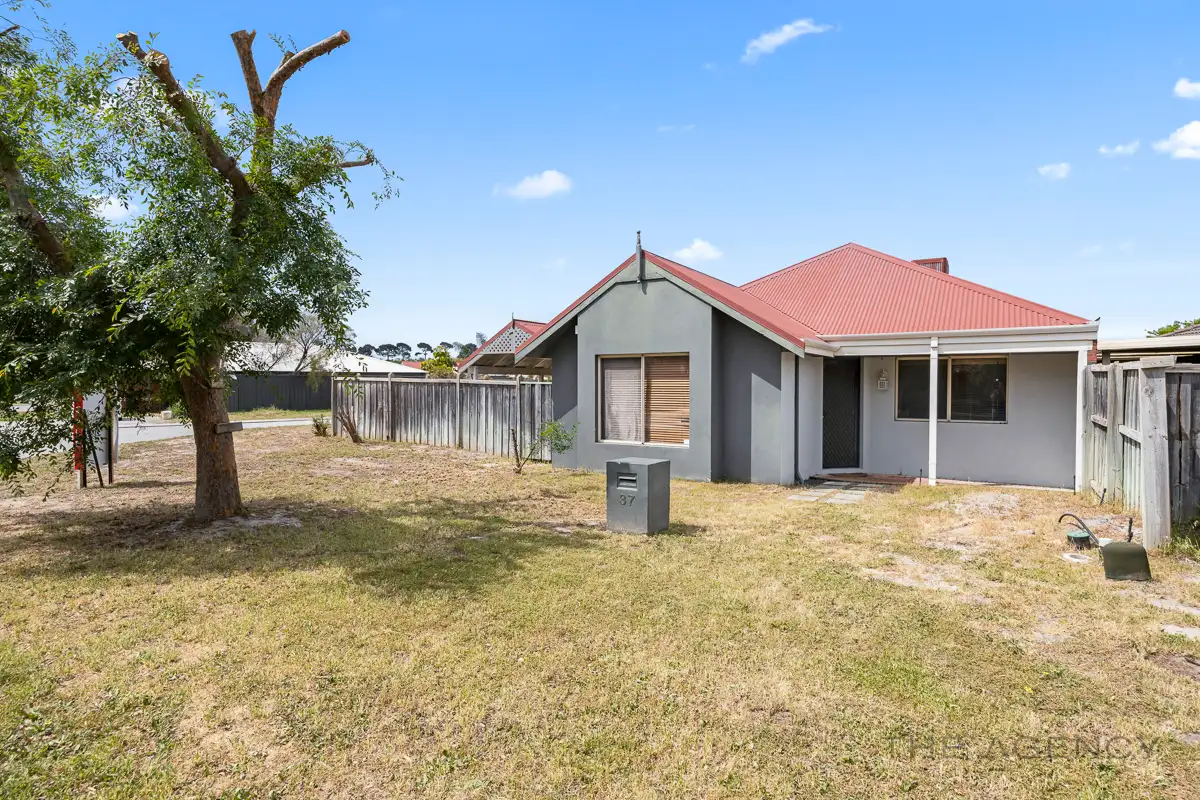Main view of Homely house listing, 37 Millstream Grove, Ellenbrook WA 6069
