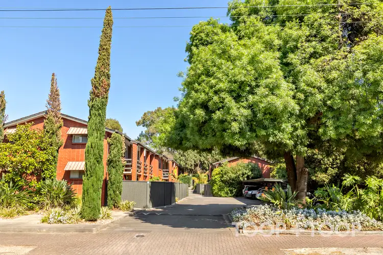 62 William Street