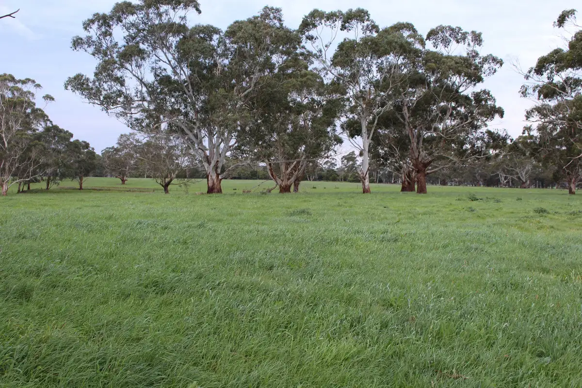 Main view of Homely rural property listing, 110 Troups Road, Glenfyne VIC 3266