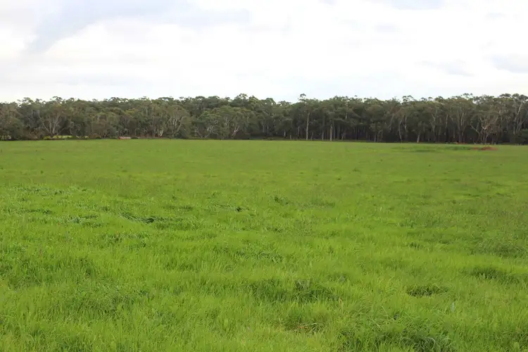 Second view of Homely rural property listing, 110 Troups Road, Glenfyne VIC 3266