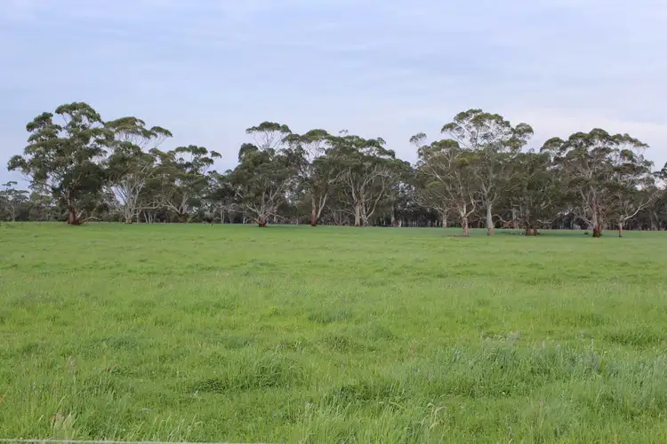 Third view of Homely rural property listing, 110 Troups Road, Glenfyne VIC 3266