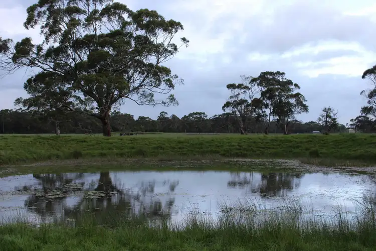 Fourth view of Homely rural property listing, 110 Troups Road, Glenfyne VIC 3266