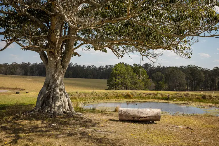 1057 Tullymorgan Road, Tullymorgan NSW 2463