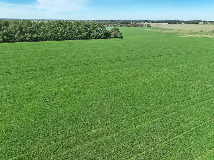 Second view of Homely rural property listing, 210 Meredith-Mt Mercer Road, Meredith VIC 3333