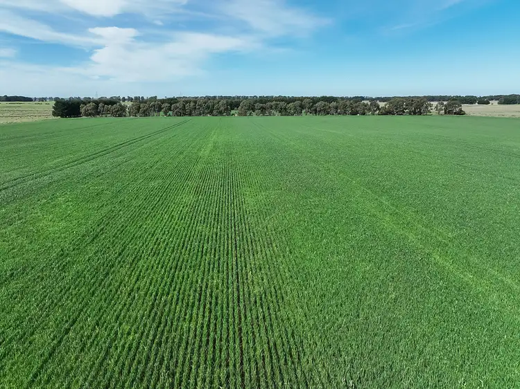 Third view of Homely rural property listing, 210 Meredith-Mt Mercer Road, Meredith VIC 3333