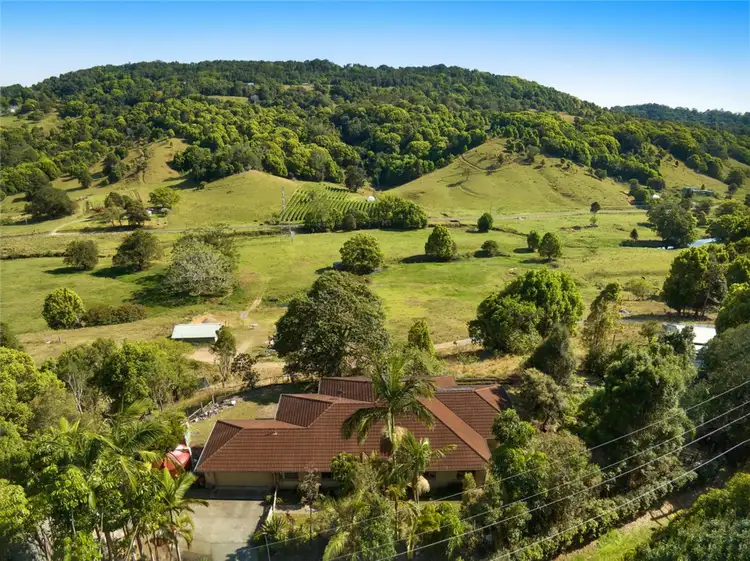 136 Hogans Road, Bilambil NSW 2486