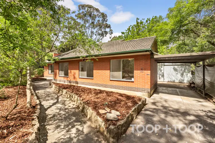 Main view of Homely house listing, 38 Suffolk Road, Hawthorndene SA 5051