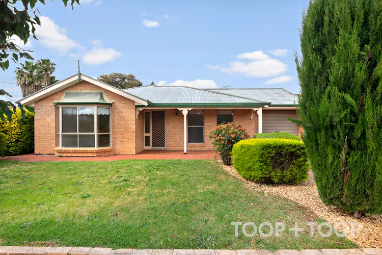 14 Hazelwood Avenue, Hectorville SA 5073
